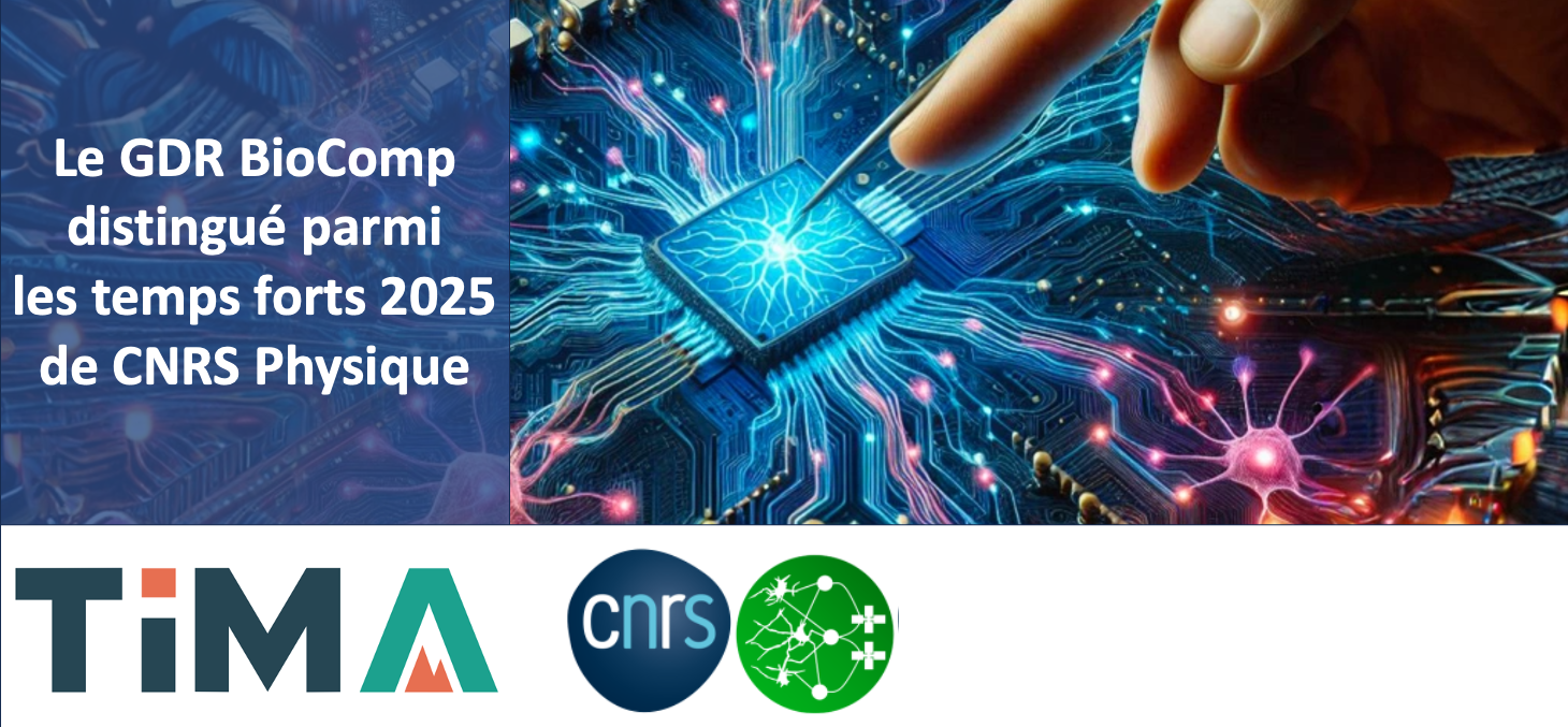 GDR BioComp distingué parmi les temps forts 2025 de CNRS Physique